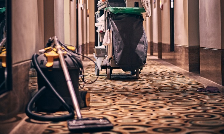 tips for maintaining clean and fresh carpets